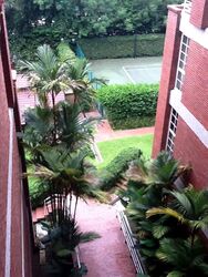 Mount Faber Lodge (D4), Condominium #350803221